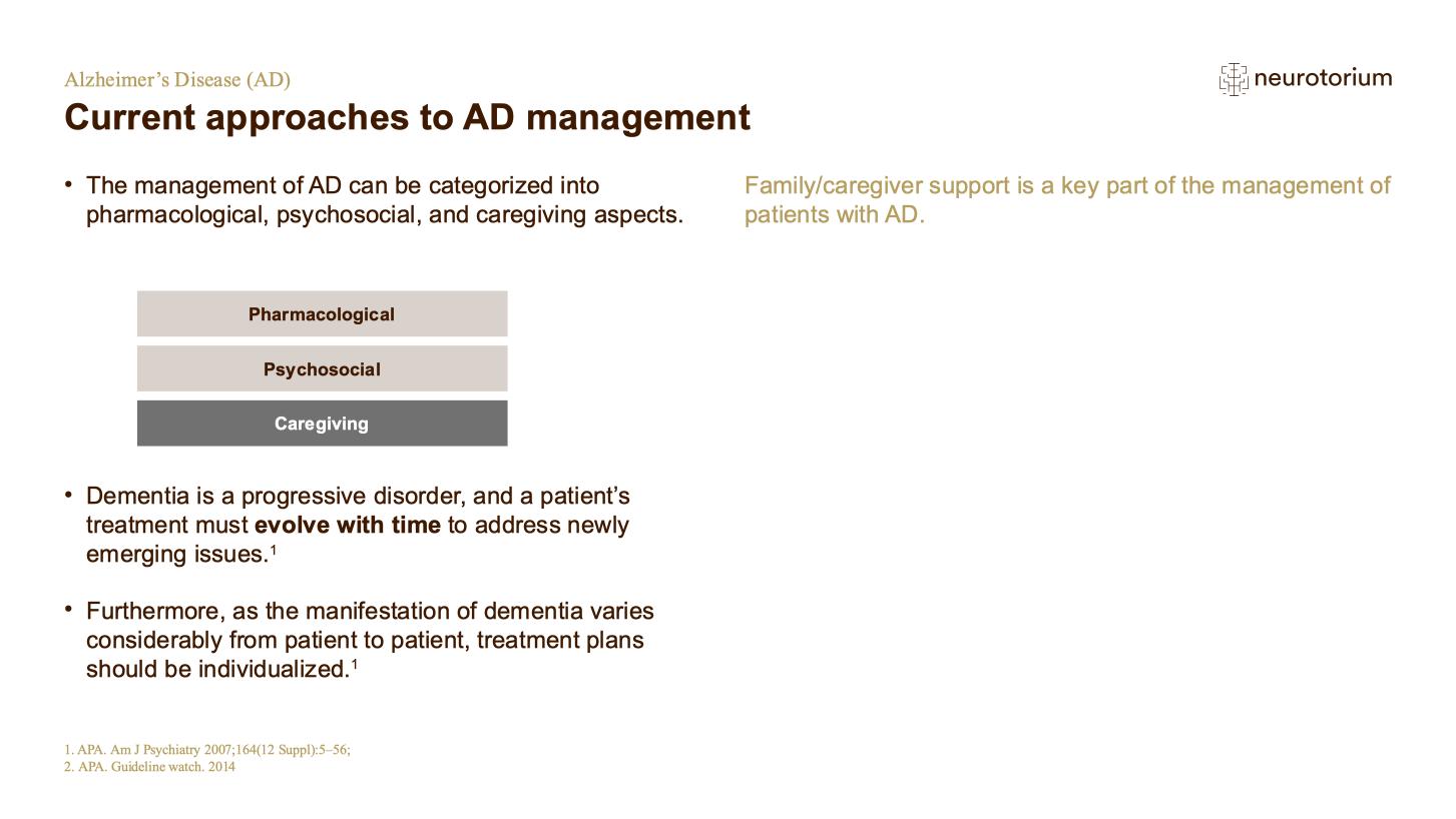 Alzheimers Disease – Treatment Principles – slide 19
